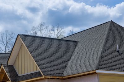 Updated Roofing Styles