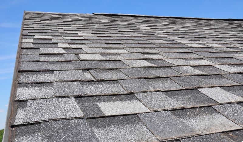 Specialty Roofing Experts